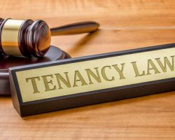 Tenancy Law